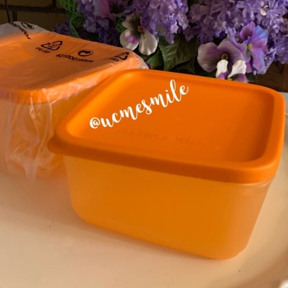 Tupperware Square Rounds Freeze It Container Set - Picture 2 of 5